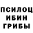 Галлюциногенные грибы мухоморы Goltilabar