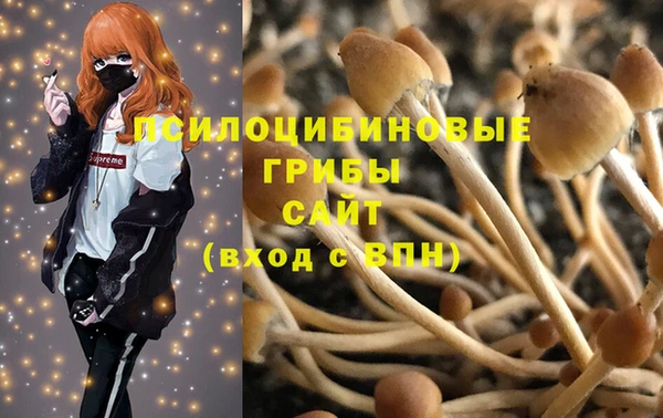 Альфа ПВП Балахна