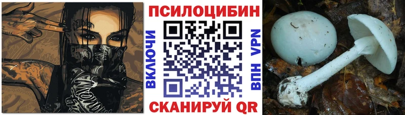 цены Дыгулыбгей это телеграм Галлюциногенные грибы Cubensis